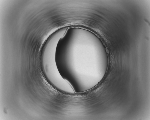 X0000099551118200805301515