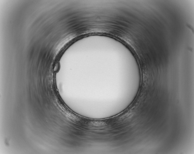 X0000099551119200805301515