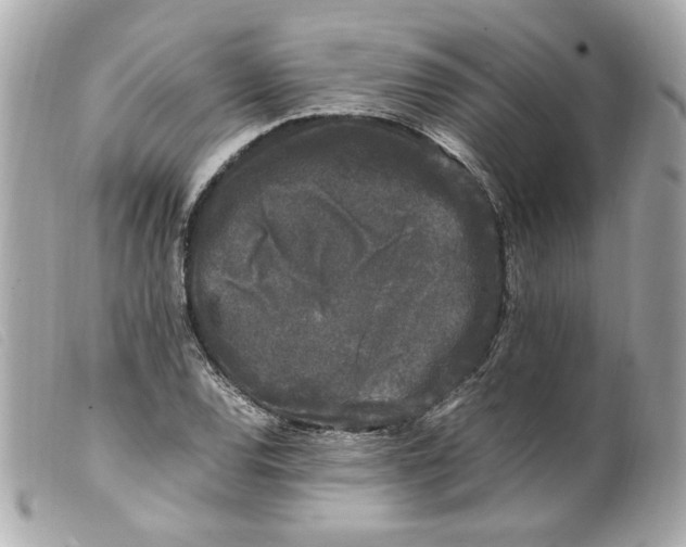 X0000099551120200805301515