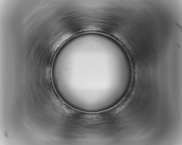 X0000099551121200805301515