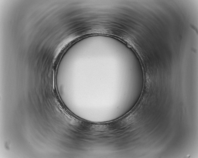 X0000099551123200805301515