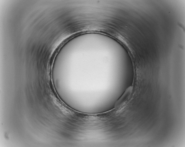 X0000099551124200805301515