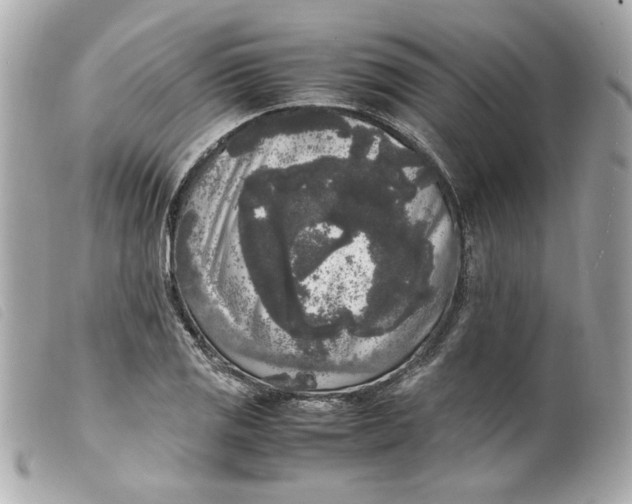 X0000099551125200805301515