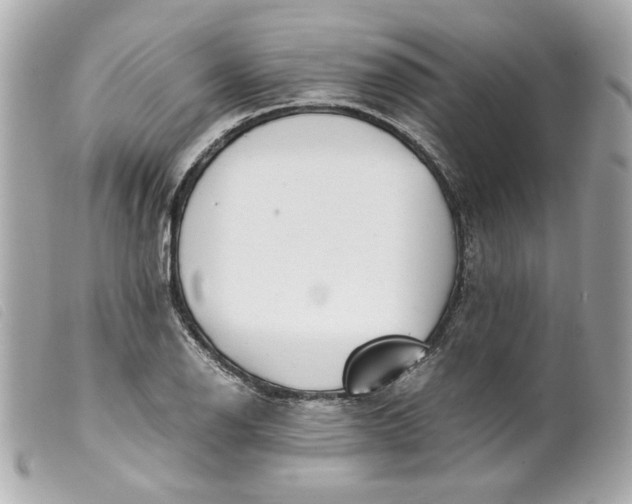 X0000099551126200805301515