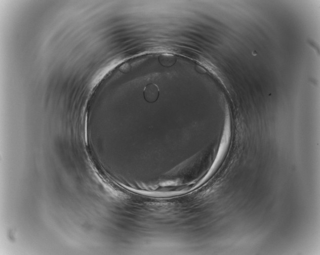 X0000099551127200805301515