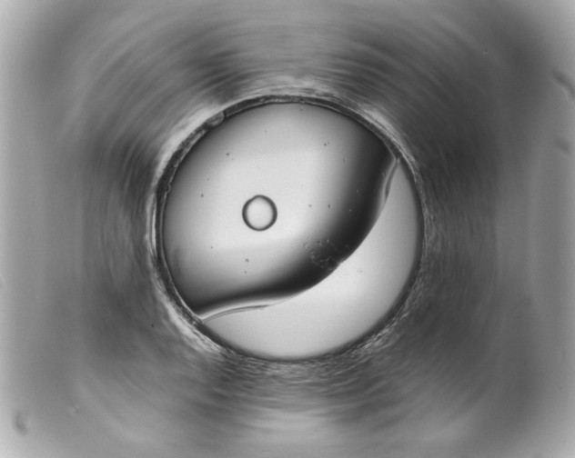 X0000099551128200805301515