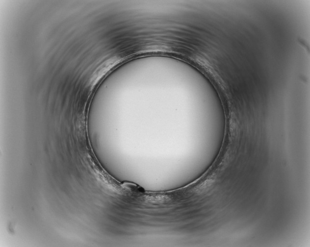 X0000099551129200805301515