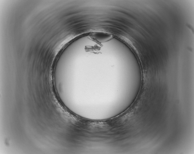 X0000099551133200805301515