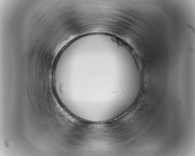 X0000099551134200805301515