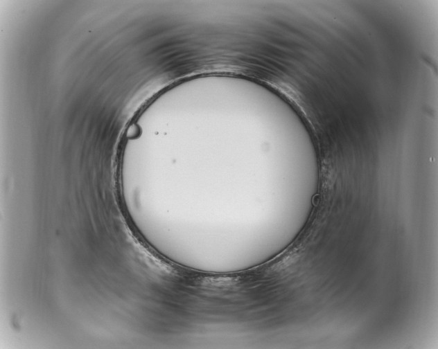 X0000099551135200805301515