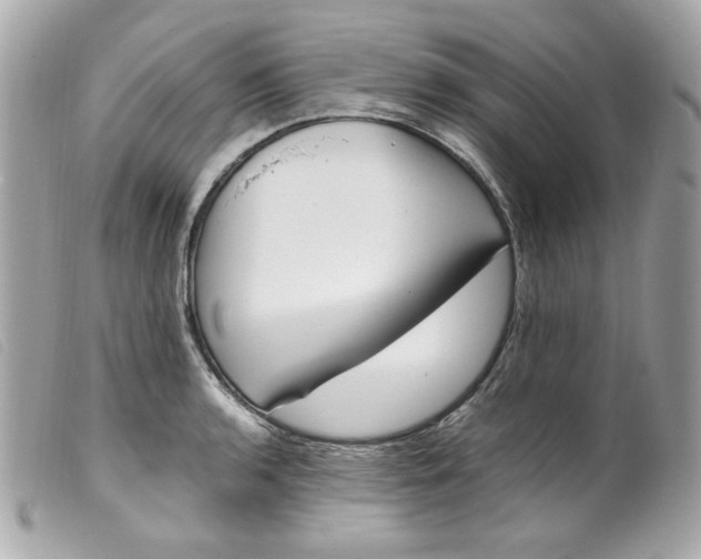 X0000099551136200805301515