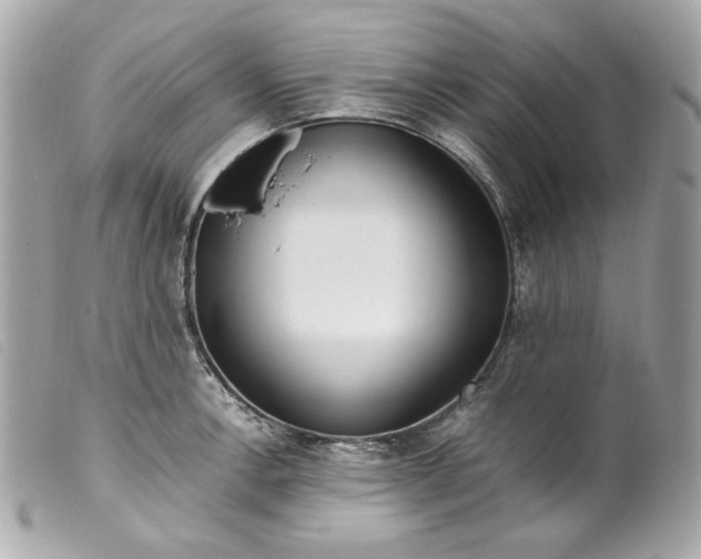 X0000099551138200805301515