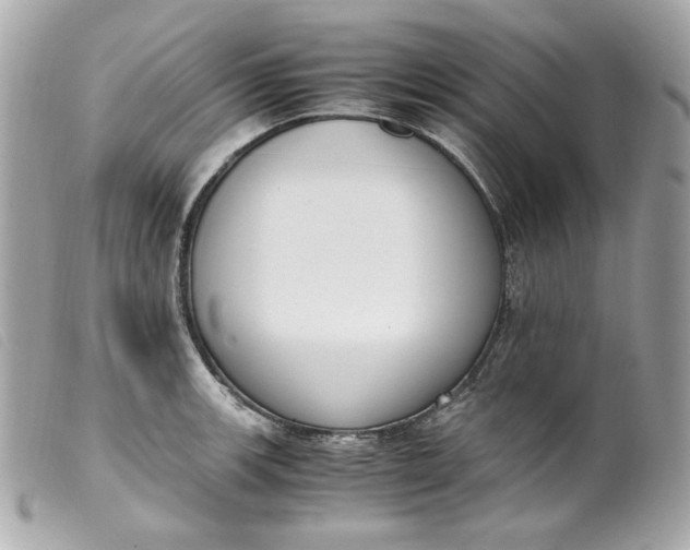 X0000099551139200805301515