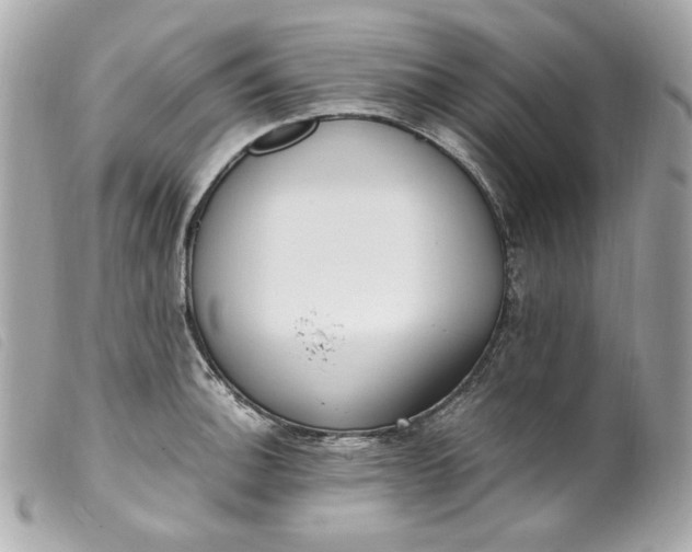 X0000099551140200805301515