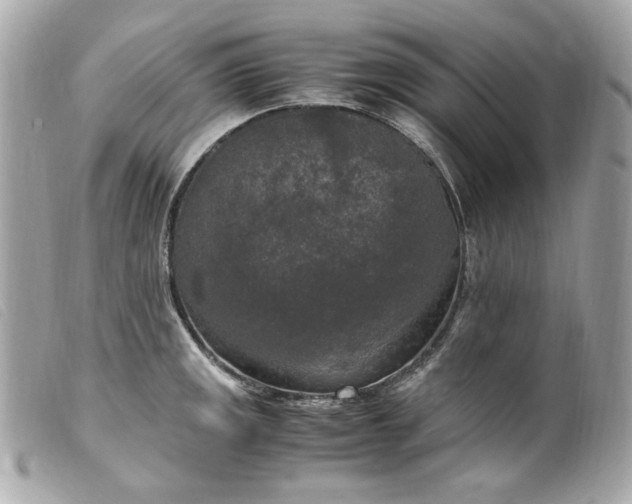 X0000099551141200805301516