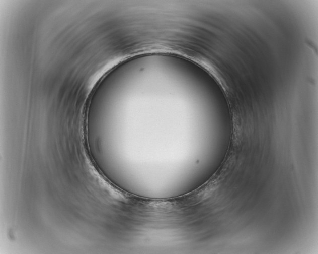 X0000099551142200805301516