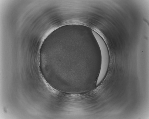 X0000099551144200805301516