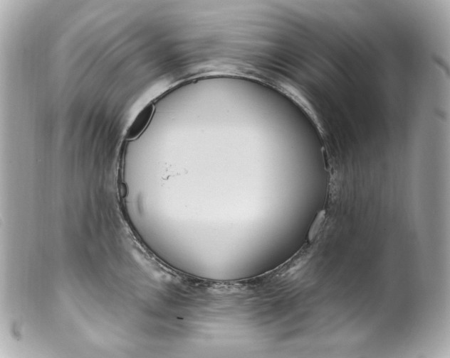 X0000099551146200805301516