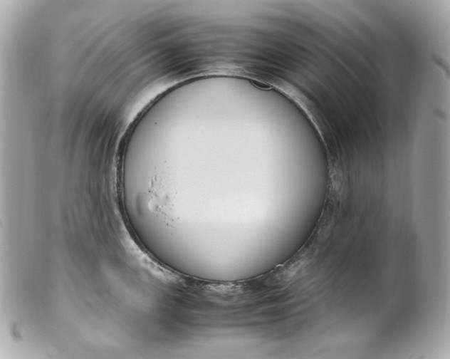 X0000099551147200805301516