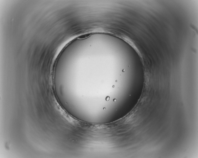 X0000099551148200805301516