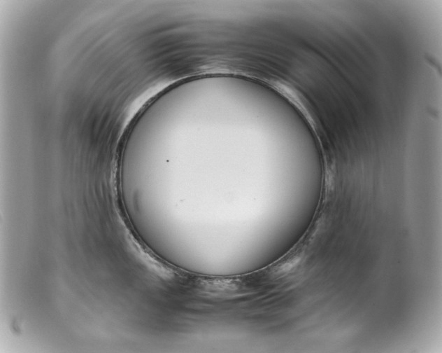 X0000099551149200805301516