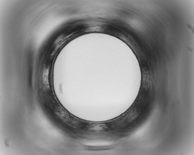 X0000099551150200805301516