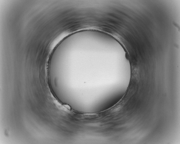 X0000099551151200805301516