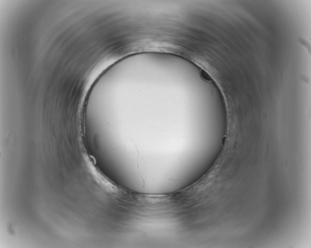 X0000099551152200805301516