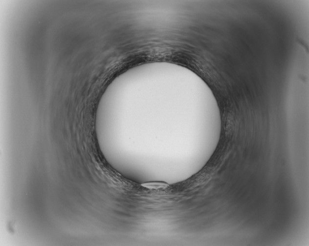 X0000099551153200805301515