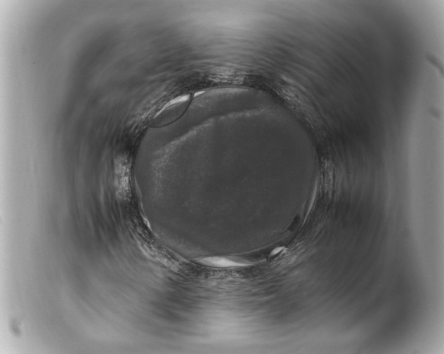 X0000099551154200805301515