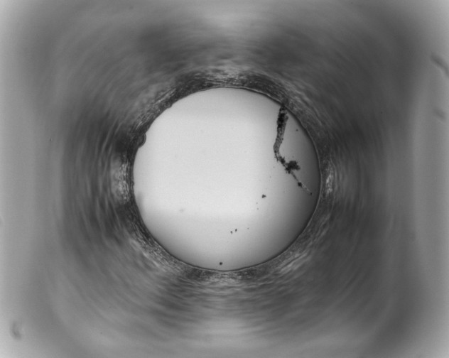 X0000099551156200805301515