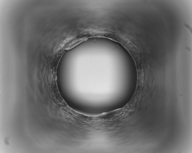 X0000099551157200805301515