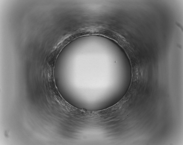 X0000099551158200805301515