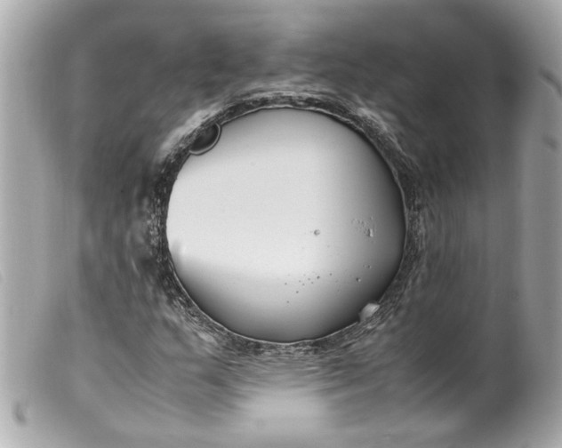 X0000099551159200805301515