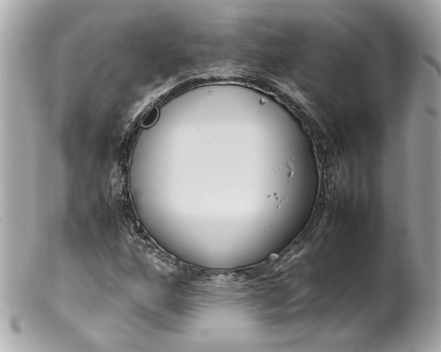 X0000099551160200805301515