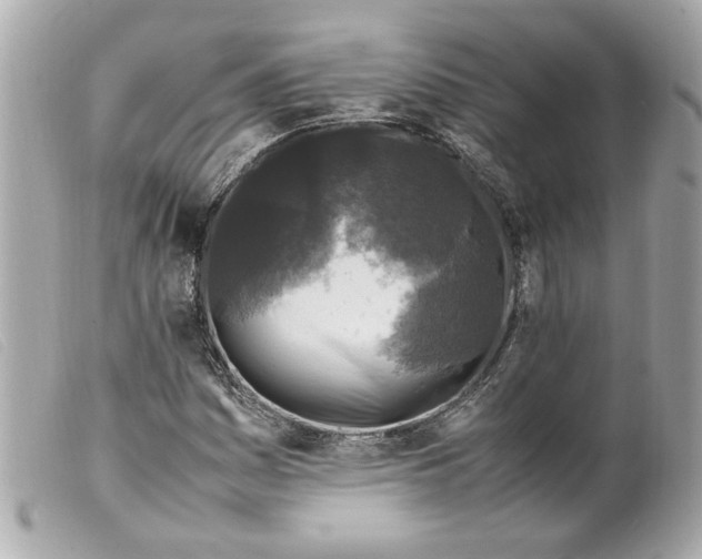 X0000099551161200805301515