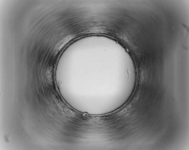 X0000099551162200805301515