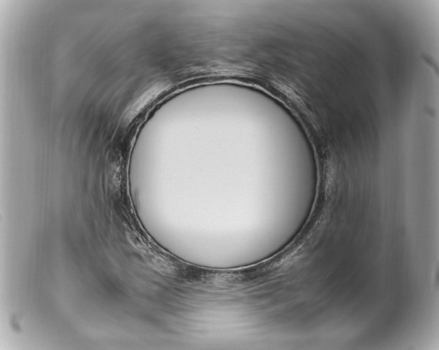 X0000099551163200805301515