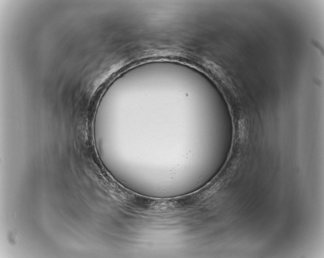 X0000099551165200805301515