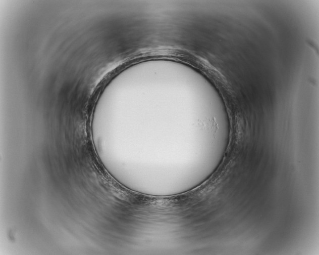 X0000099551166200805301515