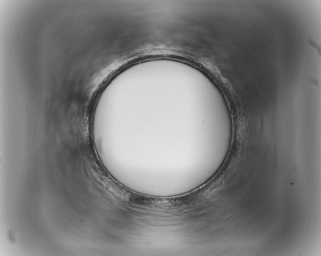 X0000099551167200805301515