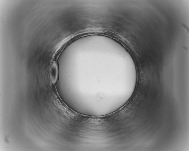 X0000099551168200805301515