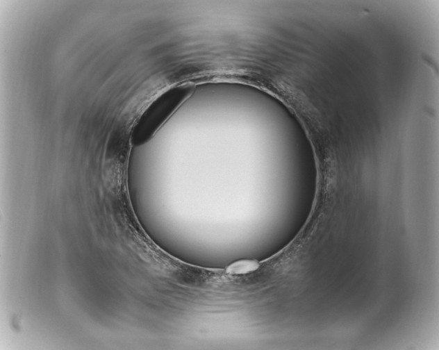 X0000099551169200805301515