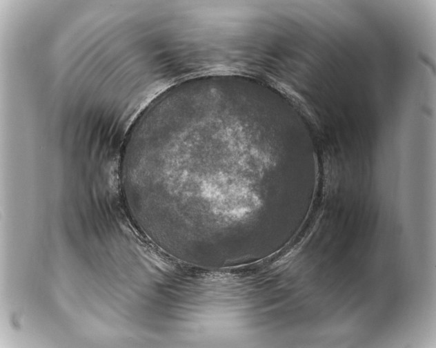 X0000099551170200805301515