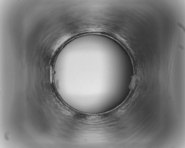 X0000099551171200805301515