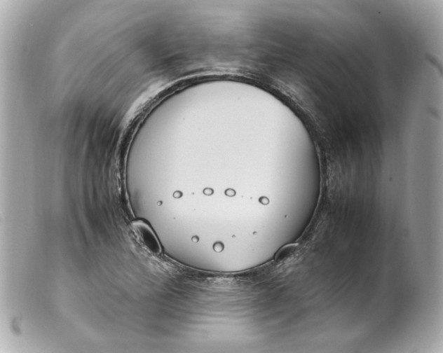 X0000099551172200805301515