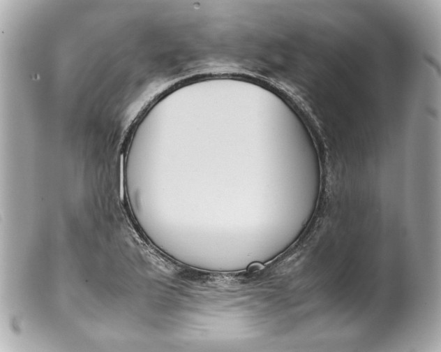 X0000099551175200805301515