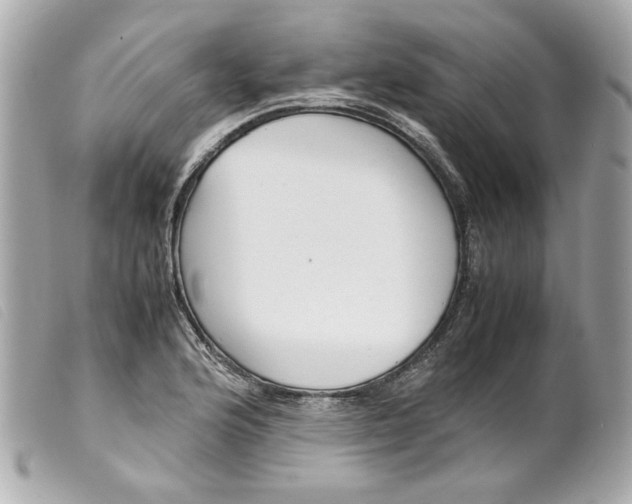 X0000099551176200805301515