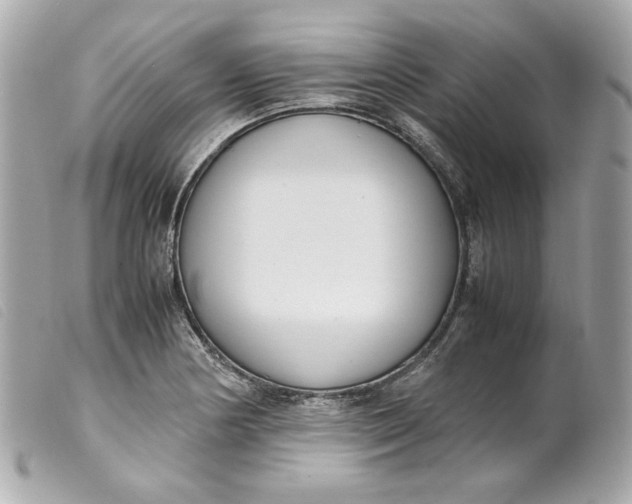 X0000099551178200805301515