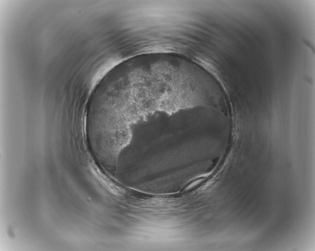 X0000099551179200805301515